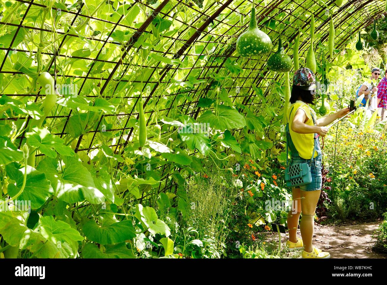 Frau unter selfie mit Stick, in großer, Tunnel-förmige Kabel Gitter Weinberge Kürbisse und Jardin des Plantes, Paris, Frankreich Stockfoto