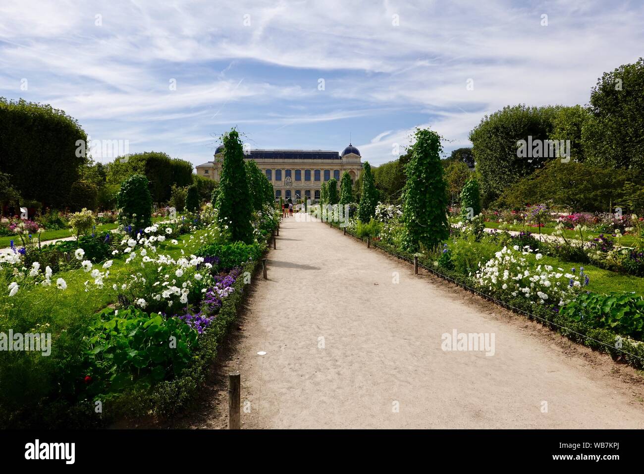 Personen, hell, Sommer Blumen in den Gärten des Jardin des Plantes, Muséum National d'Histoire Naturelle im Hintergrund, Paris, Frankreich Stockfoto