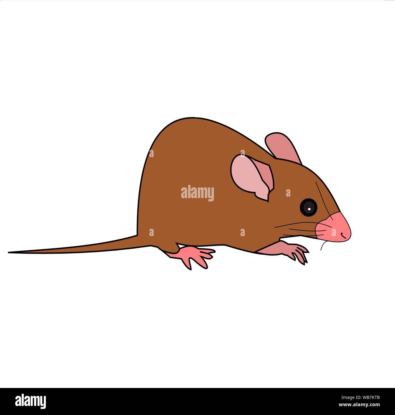 Ratte isolieren auf weißem Hintergrund, Maus, Nager, die Verschmutzungen verursachen und können Träger der Krankheit sein, die braune Mäuse mit rosa Farbe Nose und Tail Stock Vektor