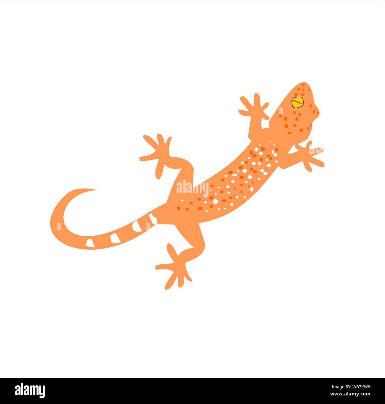 Gekko oder Tokay gecko mit gebogenen Schwanz auf weißem Hintergrund, viele weiße und orange Farbe Punkte verteilen sich auf braune Haut beängstigend Reptil Stock Vektor