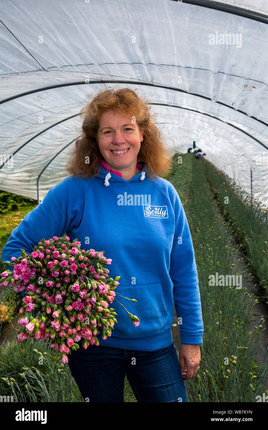 Großbritannien, England, Scilly Inseln, St Martin's, höhere Stadt, Churchtown Farm, Scilly Blumen, Inhaber Zoe Julian mit armful frisch gepflückte Pinks für e-mail Stockfoto