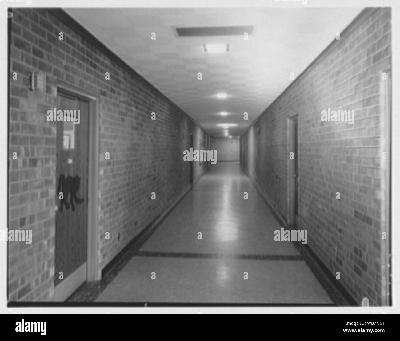 Wald Bach Grundschule, Hauppauge, Long Island. Abstract / Medium: Gottscho-Schleisner Sammlung Stockfoto