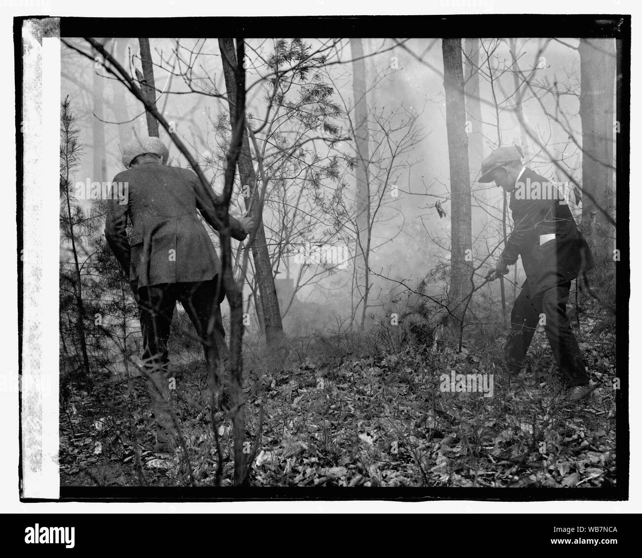 Waldbrand, 4/25/23 Abstract / Medium: Nationale Foto- Sammlung Stockfoto