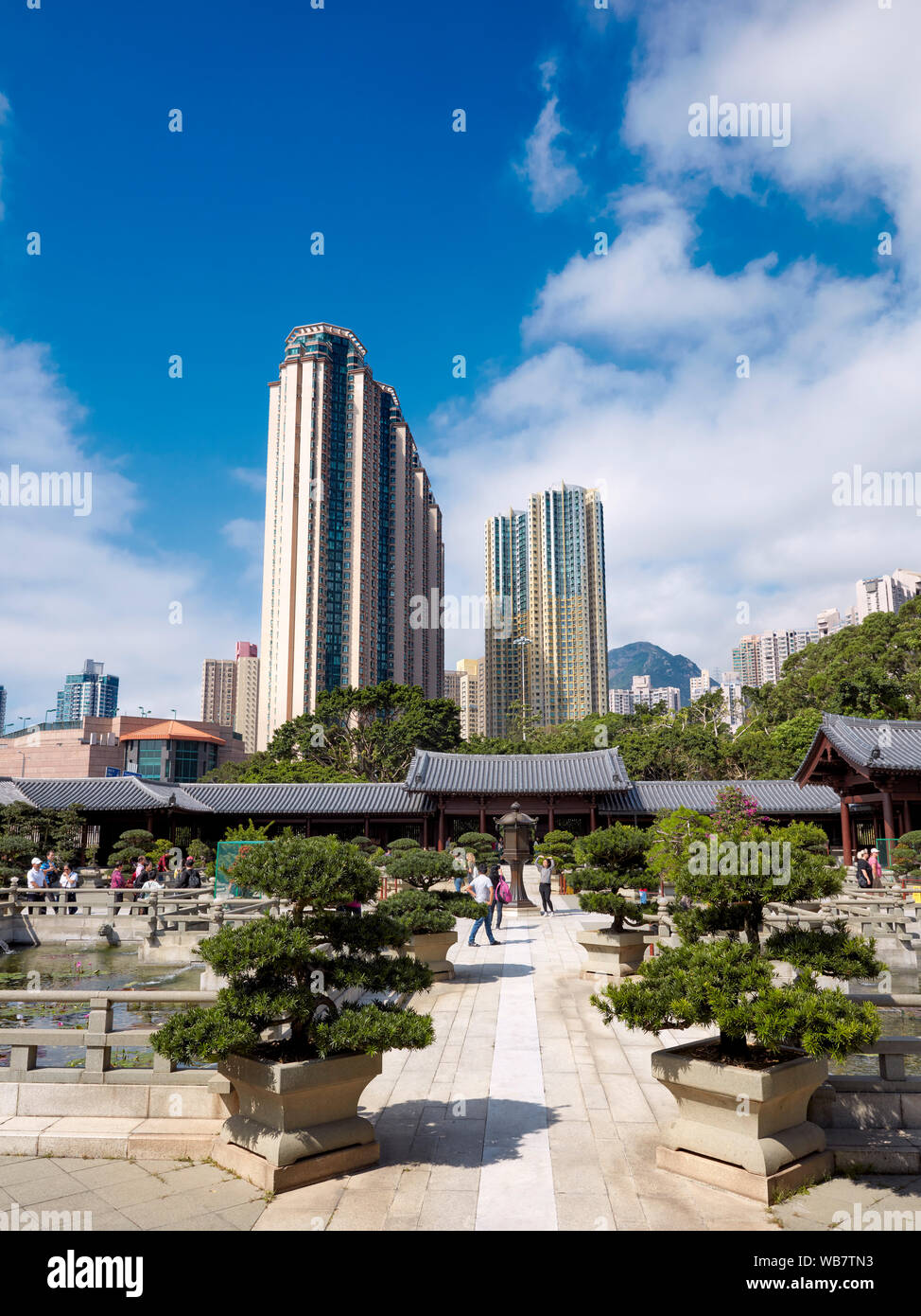 Bonsai Garten in Chi Lin Nunnery, einen großen buddhistischen Tempel komplex. Diamond Hill, Kowloon, Hong Kong, China. Stockfoto