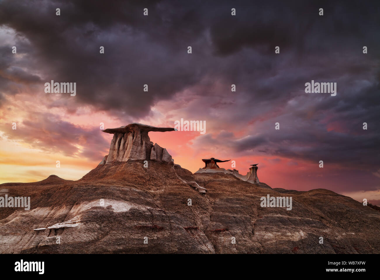 Stein Flügel, bizarre Felsformationen in Bisti Badlands, New Mexico, USA Stockfoto