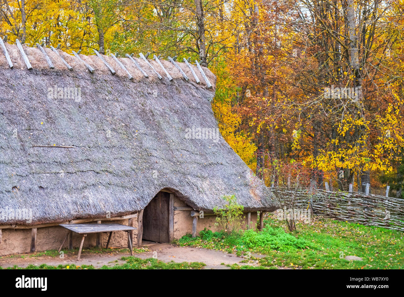 Langhaus am Waldrand im Herbst Stockfoto