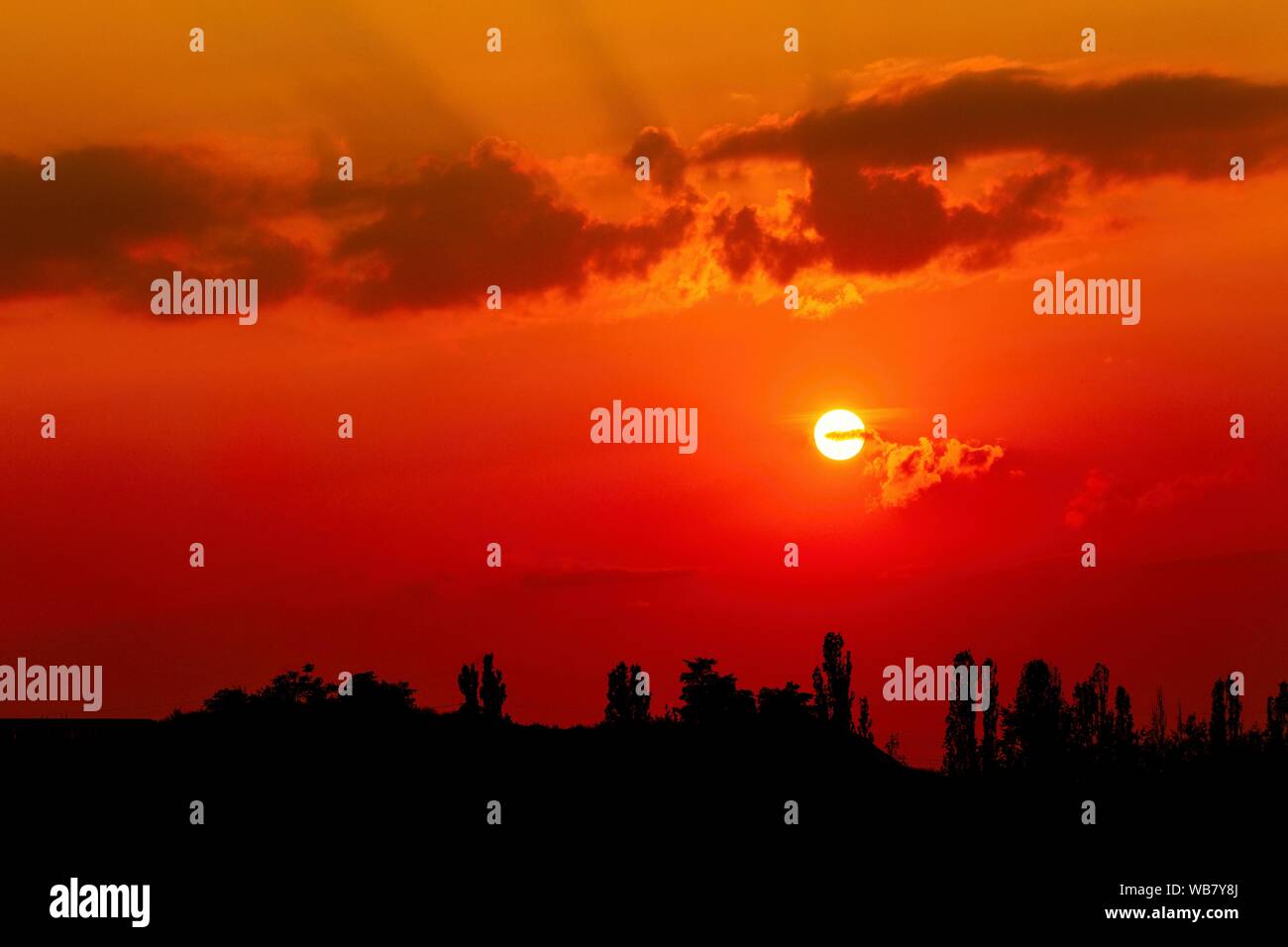 Dunkles rot und orange Sonnenuntergang Himmel mit Wolken und black horizon mit Bäumen. Sommer Sonnenuntergang Landschaft. Stockfoto