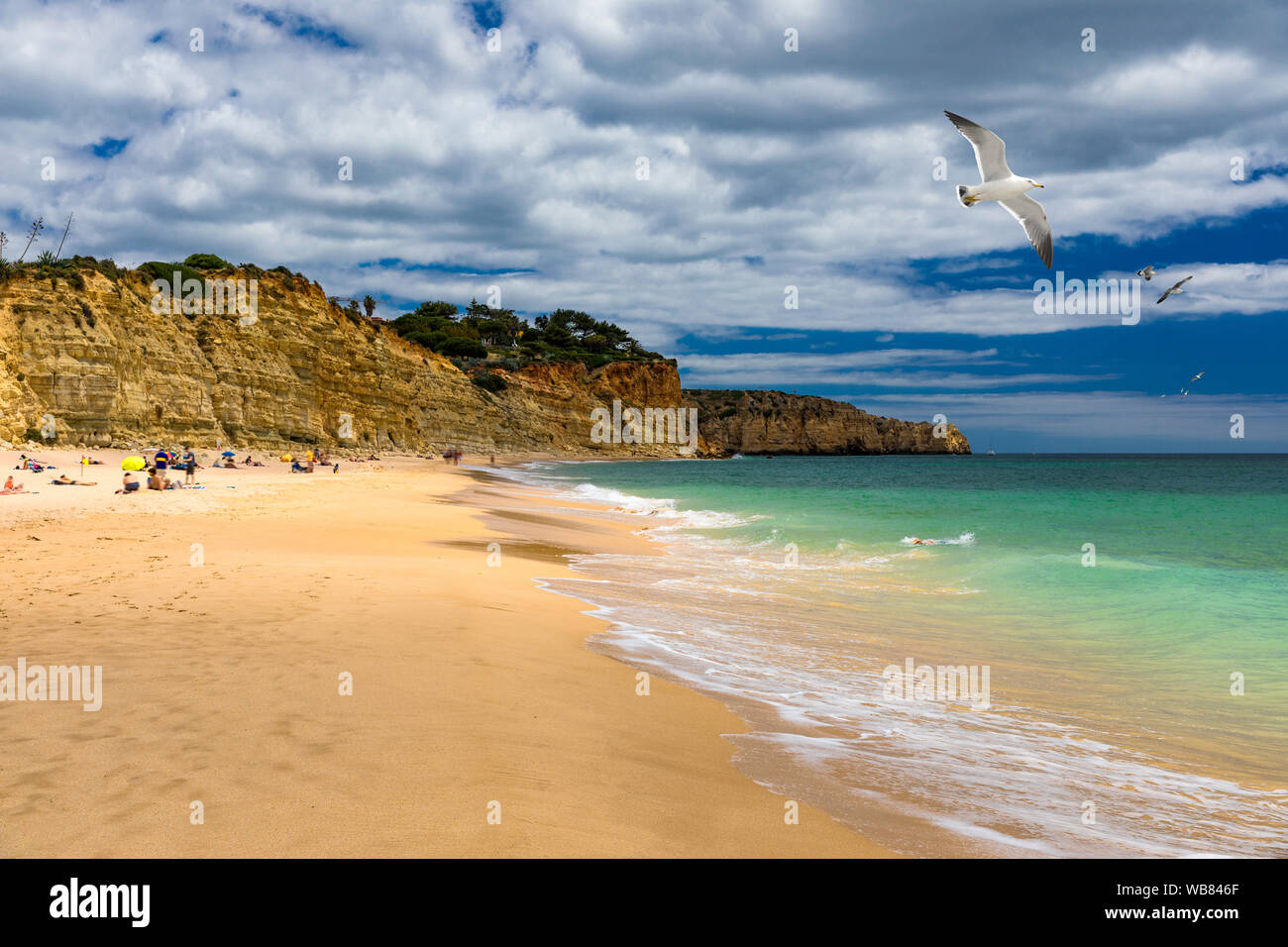 Praia de Porto de Mos mit Möwen über den Strand, Lagos, Portugal fliegen. Praia do Porto de Mos, Long Beach in Lagos, Algarve, Portugal. Stockfoto