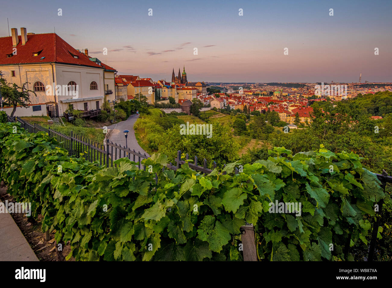 Blick auf die Prager Burg und die Altstadt von Strahov Kloster auf der Kleinseite (Mala Strana) Bezirk mit Weinberg vor bei Sonnenuntergang. Prag, Czec Stockfoto