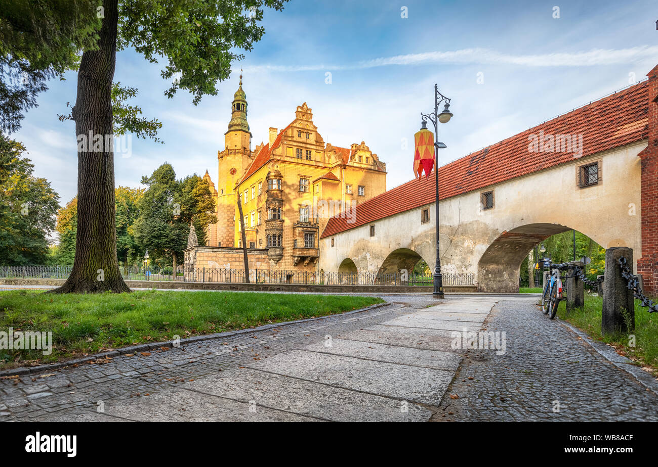 Blick auf Schloß (Zamek olesnicki) in Olesnica, Niederschlesien, Polen (HDR-Bild) Stockfoto