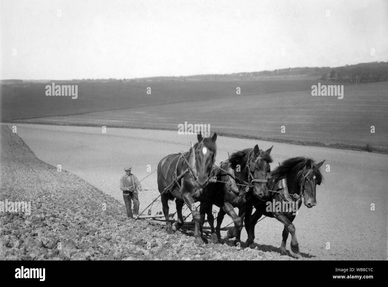 Die Landwirtschaft in den 1920er Jahren. Drei Pferde zieht eine Egge auf ein Feld. Ein Mann hinter ihnen die Führung der Mannschaft der Pferde holding Zügel. Schweden 1928 Stockfoto