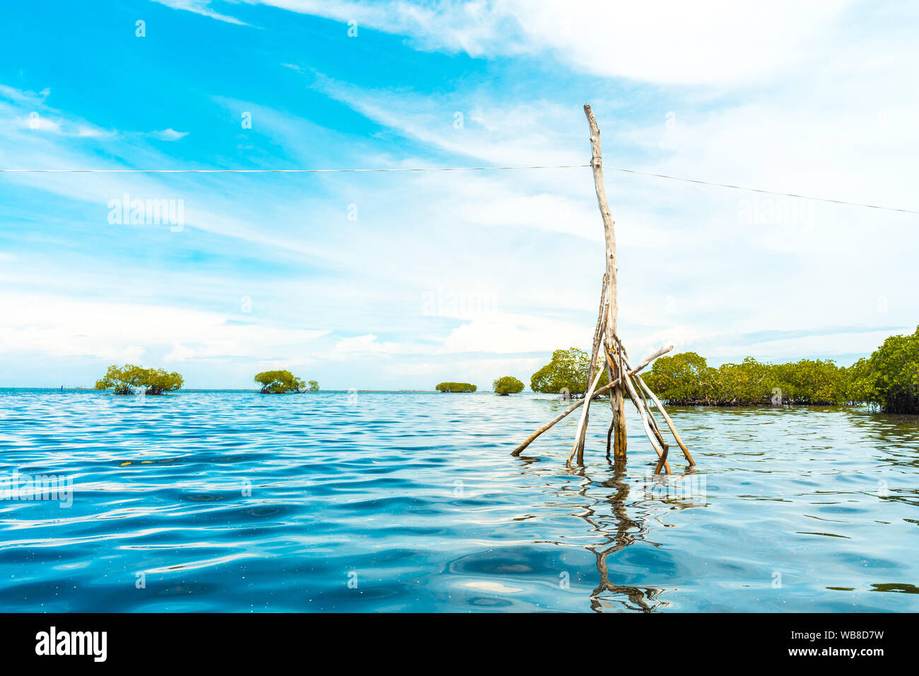 Ein Baum als Zaun in der Nähe Barangay Badiang verwendet. Stockfoto