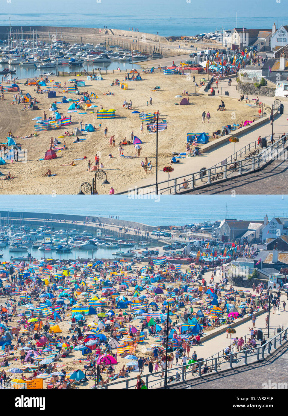 Lyme Regis, Dorset, Großbritannien. 25 Aug, 2019. UK Wetter: unglaublich warmen Sonnenschein und swelterig Wärme in den Badeort Lyme Regis als Temperaturen steigen auf Feiertag Sonntag. Sonnenanbeter kamen früh an einem sonnigen Standort zu sichern, bevor die Massen der Strand am Nachmittag schlug. Credit: Celia McMahon/Alamy leben Nachrichten Stockfoto