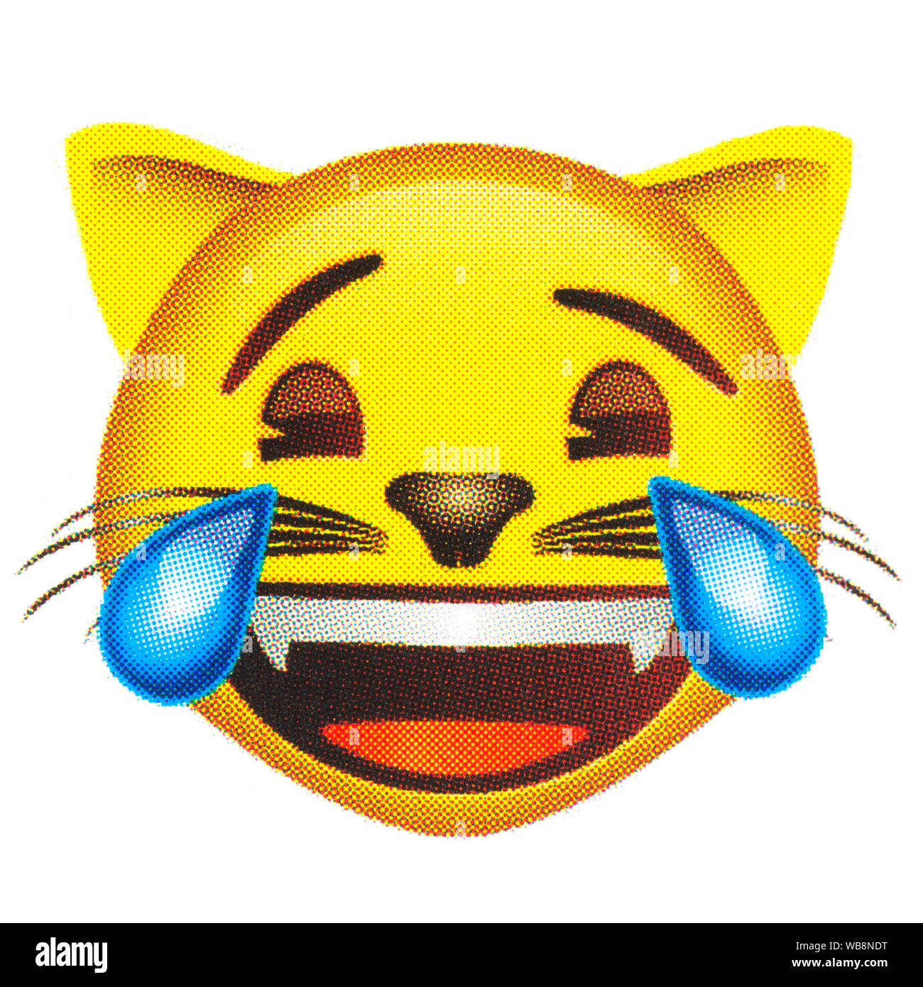 Cat Face mit Tränen der Freude Emoticon Stockfoto