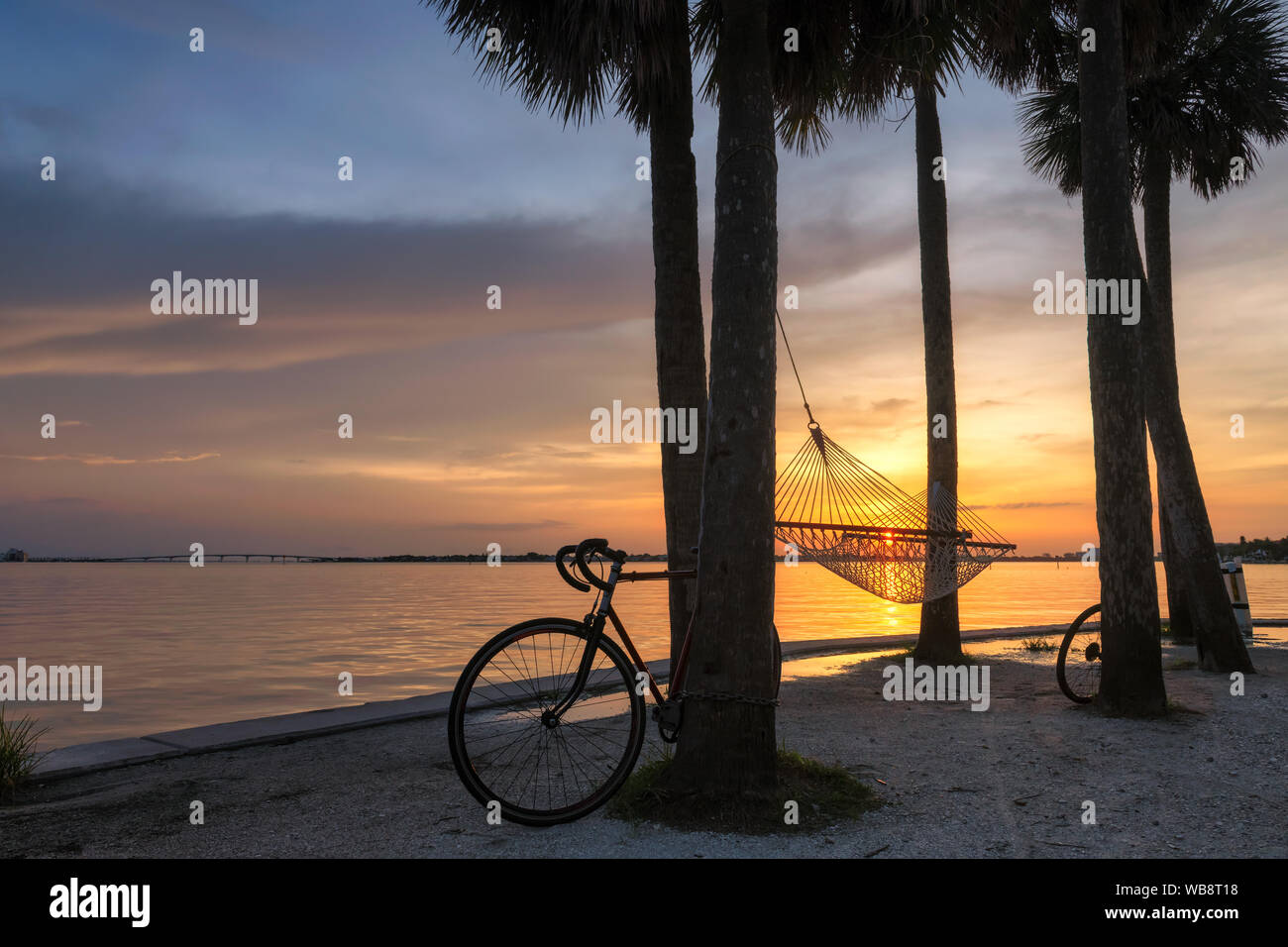 Die Hängematte unter Palmen bei Sonnenuntergang in Siesta Key Beach, Sarasota, Florida Stockfoto