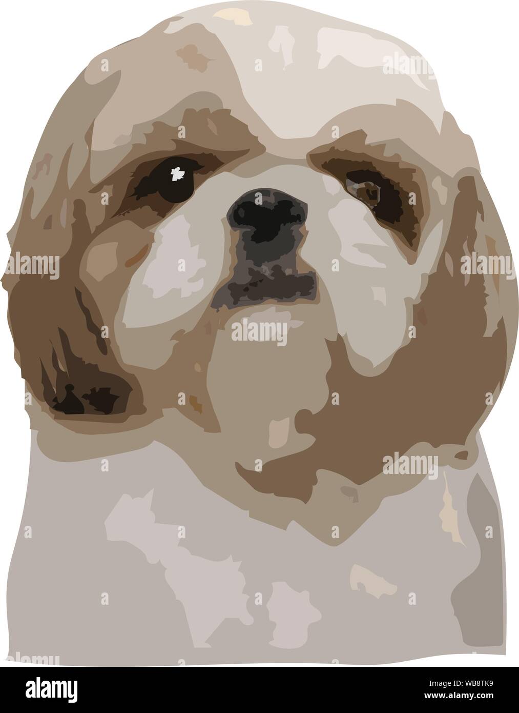 Angesichts der Shih Tzu Hund gerade starrt, Illustration Vektorgrafik pop art auf weißem Hintergrund - PET-Vektor Zeichnung Konzept Stock Vektor