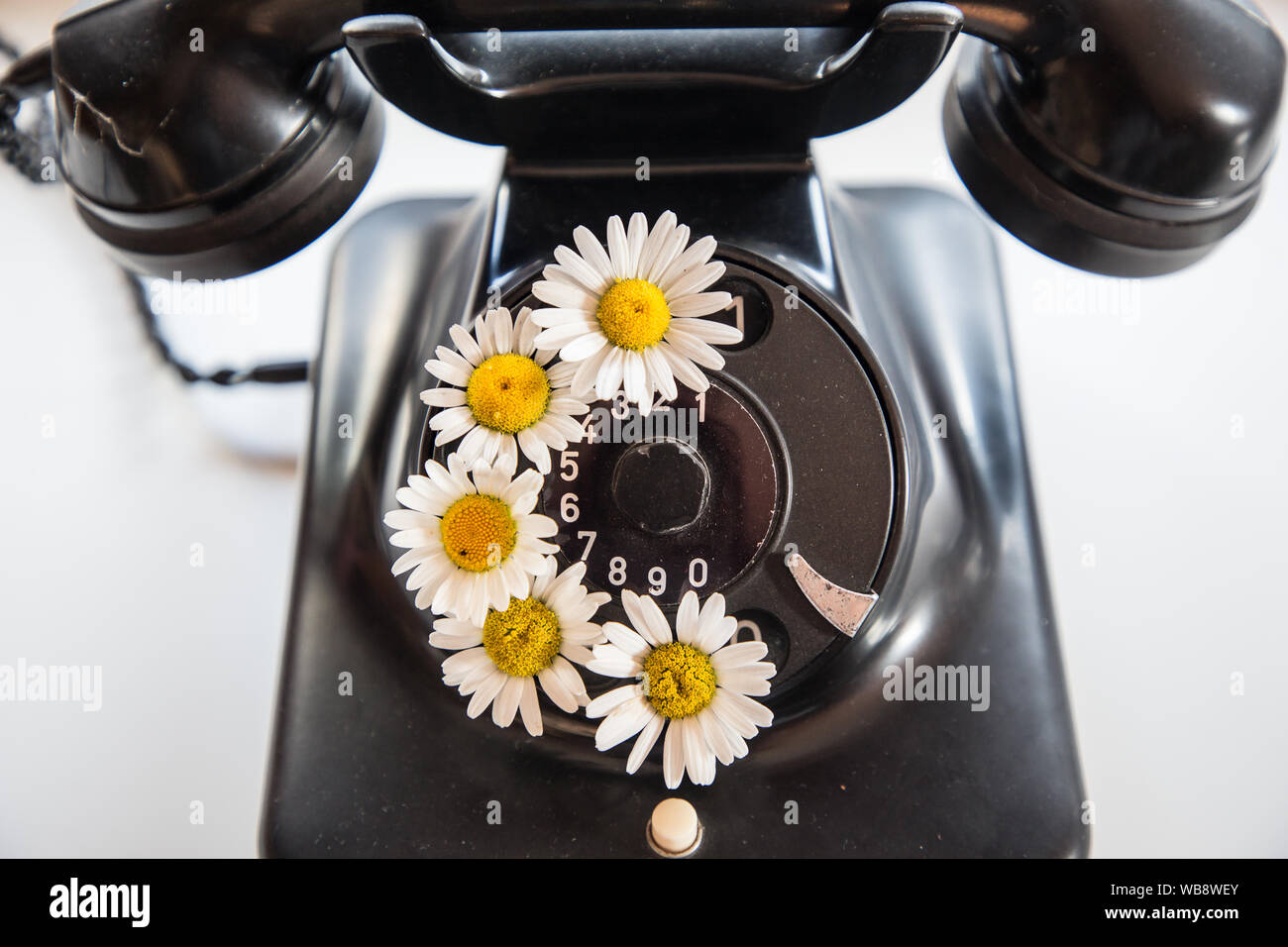 Altes Telefon mit Blumen Stockfoto