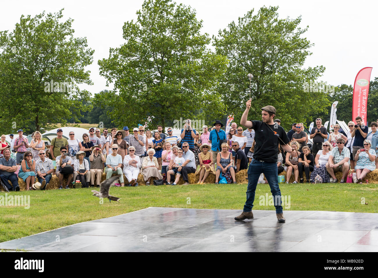 Raubvogel handler Flying Falcon an Der helmingham Festival der Klassischen & Sportwagen 2019 Stockfoto