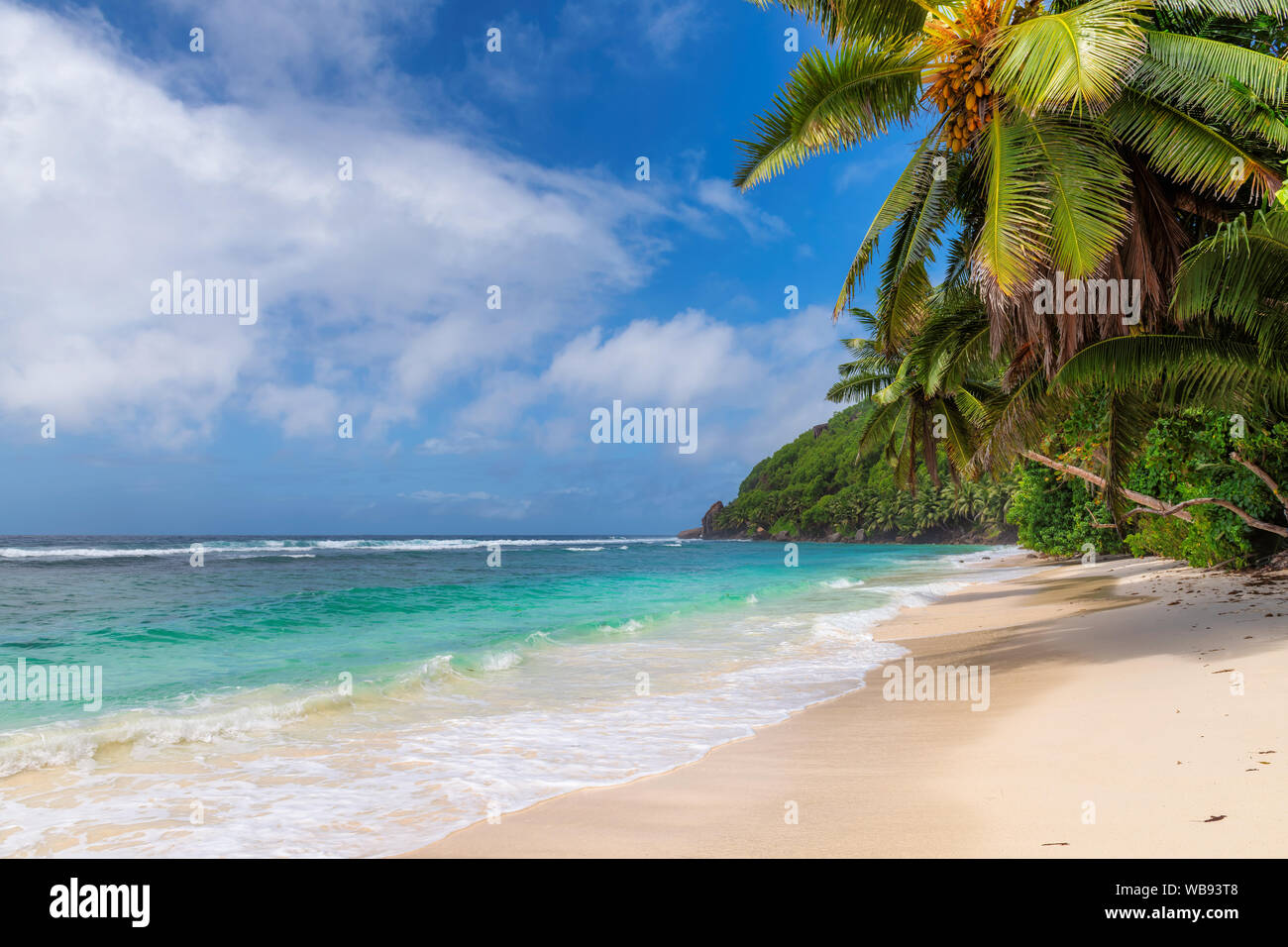 Tropischen Strand. Stockfoto