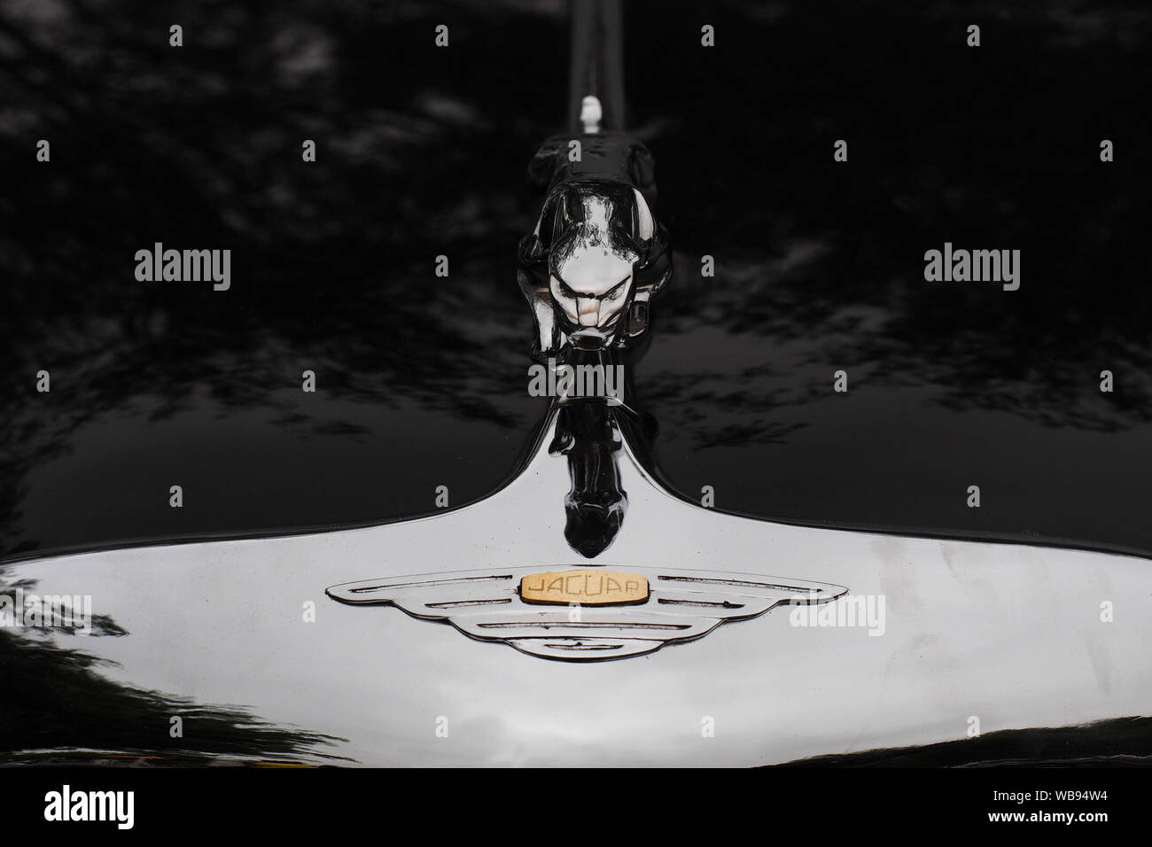 Kühlerfigur eines Jaguar classic Limousine am 6. Ausstellung von British Classic Cars in Lima, organisiert von der Antique Automobile Club von Peru - CAAP Stockfoto