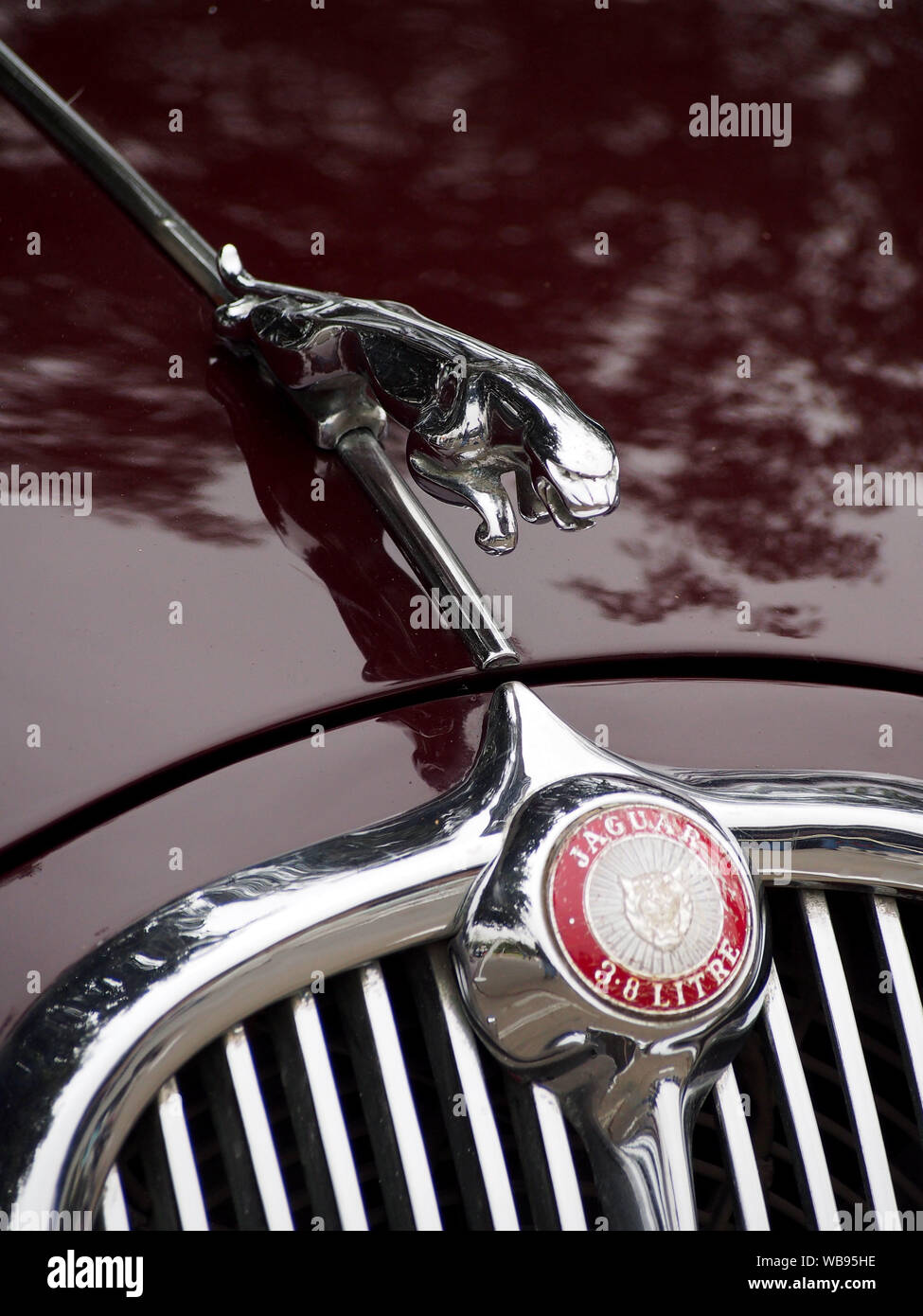Jaguar kühlerfigur am 7. Ausstellung von British Classic Cars in Lima, organisiert von der Antique Automobile Club von Peru - CAAP Stockfoto