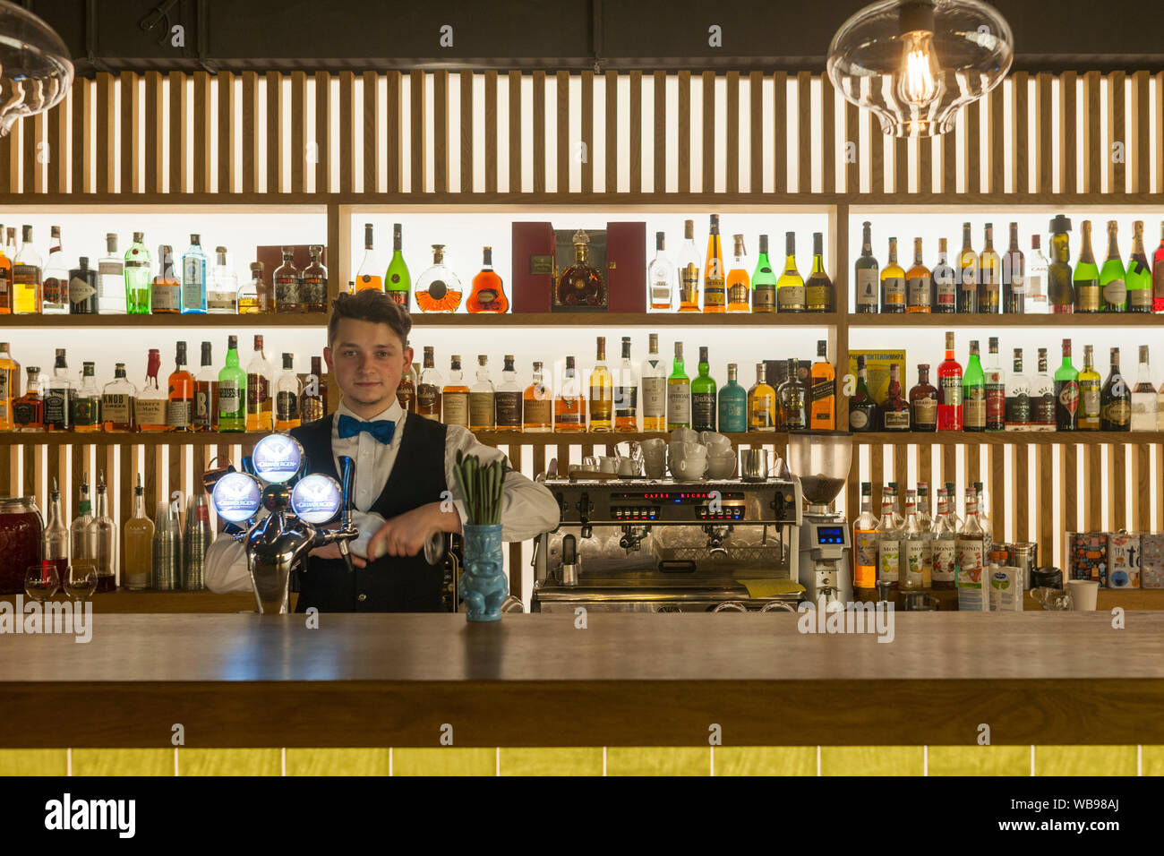 Barkeeper in Dom bar in Minsk, Belarus. Stockfoto