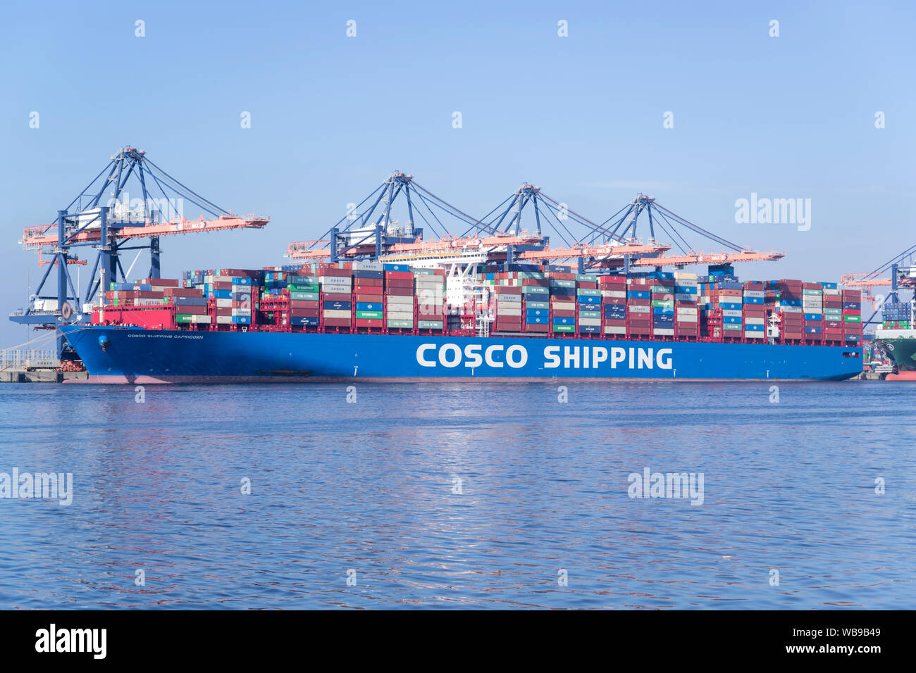 COSCO VERSAND STEINBOCK am Euromax-terminal, Rotterdam Stockfoto
