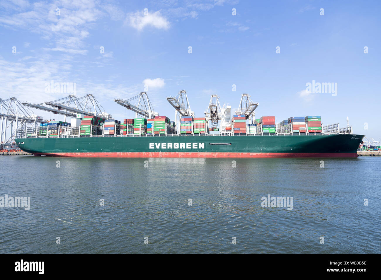 Angesichts immer günstig bei ECT Delta Terminal, Rotterdam. Immergrün mit Sitz in Taiwan ist eine globale containerisierte Fracht-unternehmen. Stockfoto