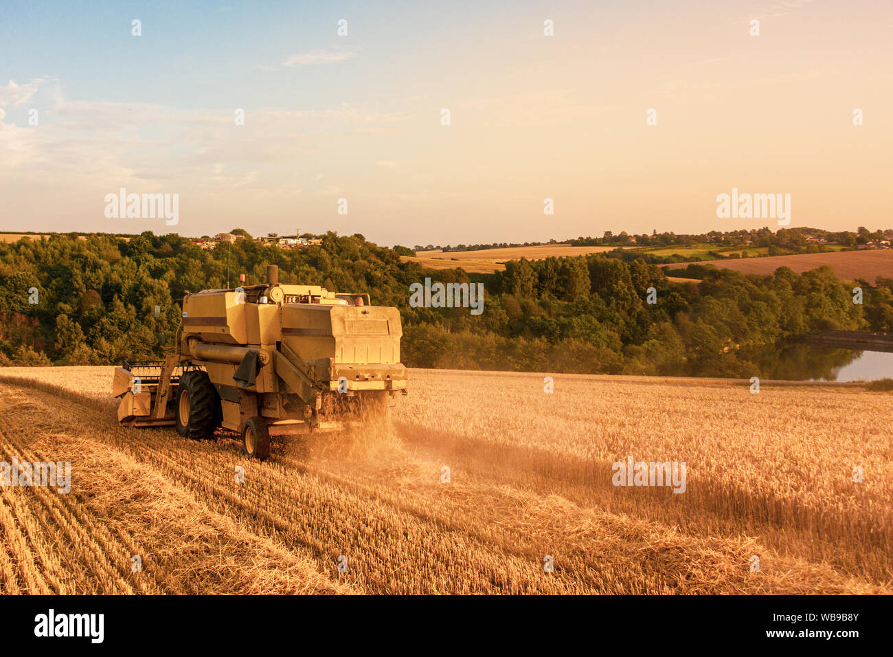 Antenne hinten geschossen von einem Mähdrescher ernten ein Weizenfeld bei Sonnenuntergang in Großbritannien Stockfoto