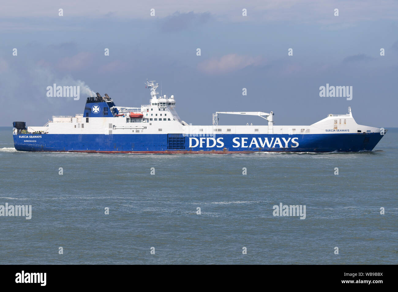 SUECIA SEAWAYS inbound Rotterdam. DFDS Seaways ist eine große dänische Reederei, die den Personen- und Güterverkehr in ganz Nordeuropa. Stockfoto