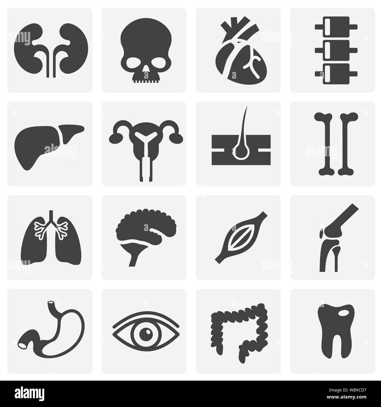 Menschliche Organe ähnliche Symbole auf dem Hintergrund für Grafik- und Webdesign. Einfache Abbildung. Internet Konzept Symbol für Website Taste oder mobile App Stock Vektor