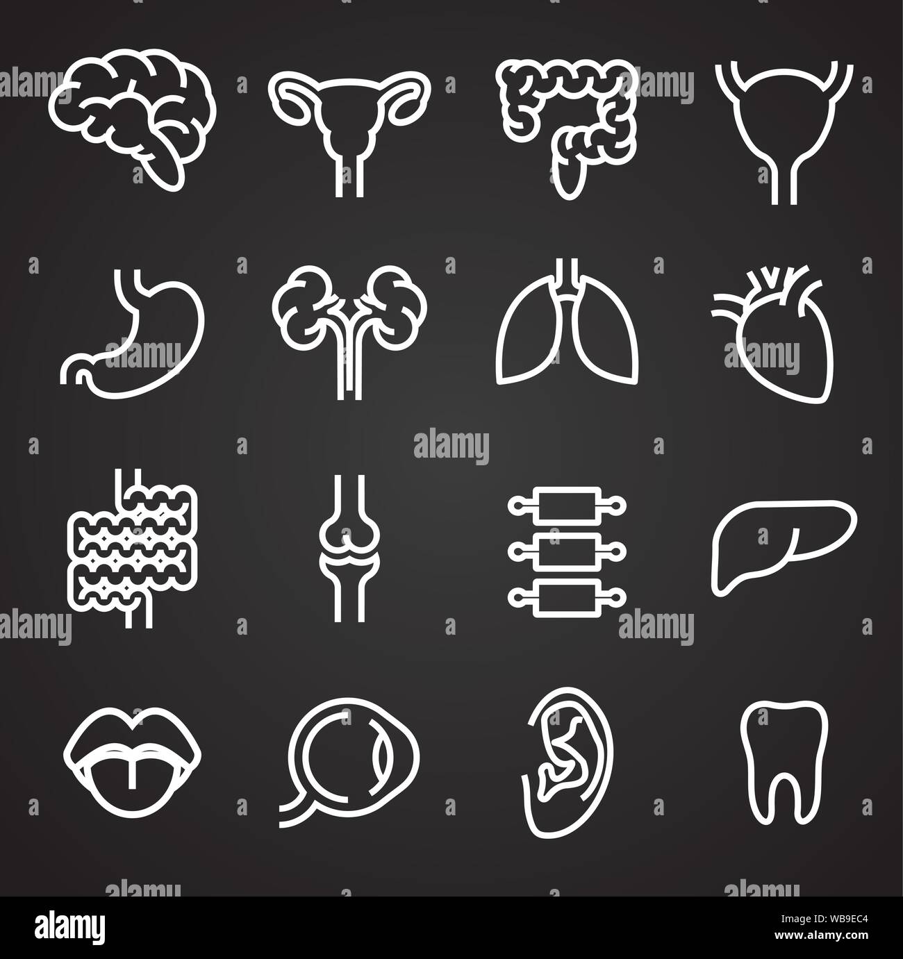 Menschliche Organe ähnliche Symbole auf dem Hintergrund für Grafik- und Webdesign. Einfache Abbildung. Internet Konzept Symbol für Website Taste oder mobile App Stock Vektor