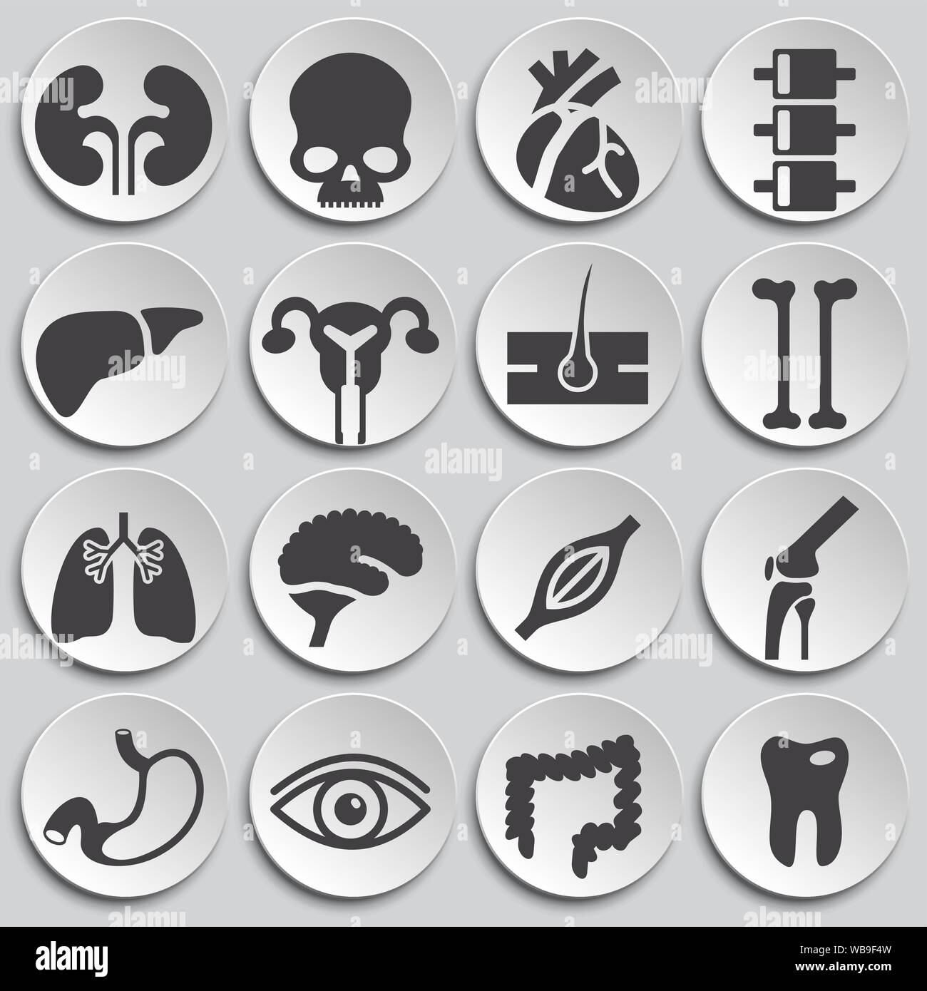 Menschliche Organe ähnliche Symbole auf dem Hintergrund für Grafik- und Webdesign. Einfache Abbildung. Internet Konzept Symbol für Website Taste oder mobile App Stock Vektor