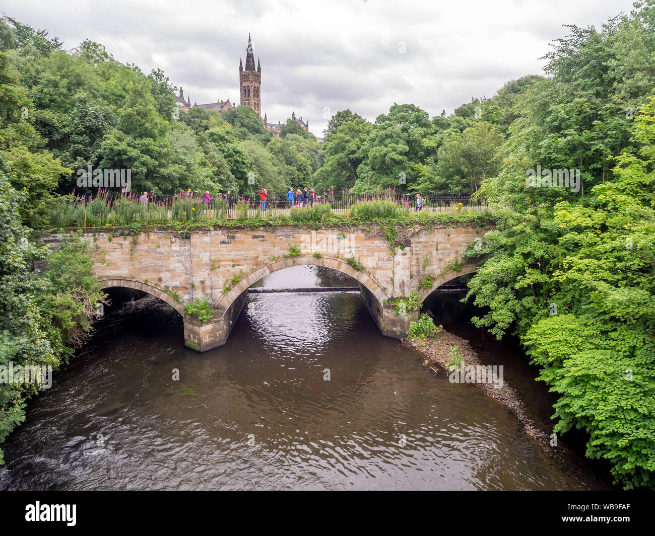 Die Türme der Universität von Glasgow in Glasgow Schottland entlang der Kelvin River. Stockfoto