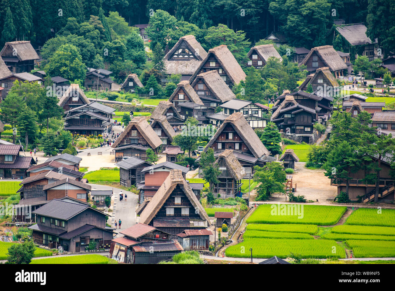 Historische Dörfer von Shirakawa-go und Gokayama, Shirakawa-mura, Gifu-ken, Japan Stockfoto