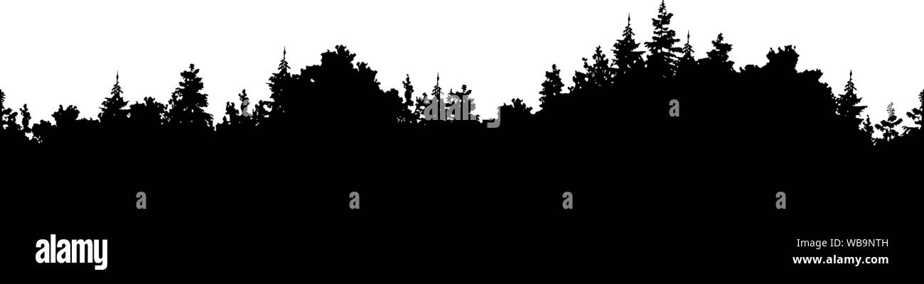 Vector Illustration einer silhouette Panorama einer Nadelwald Stock Vektor