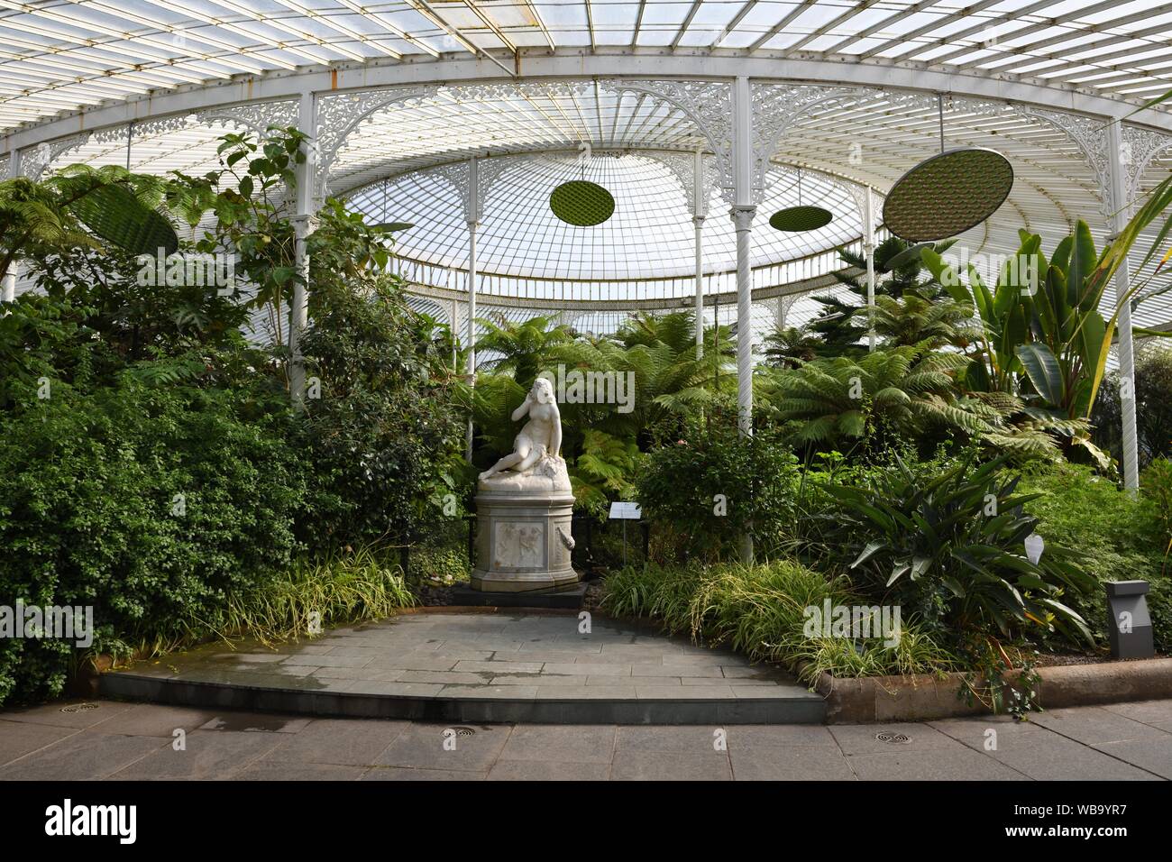 Innenraum der beheizten Kibble Palace Gewächshaus im Botanischen Garten, Glasgow, Schottland, Großbritannien, Europa Stockfoto