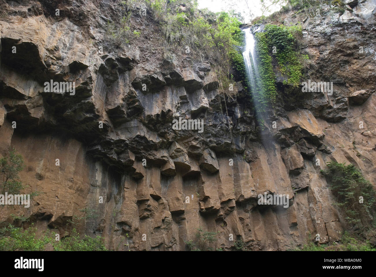 Braun fällt auf Spring Creek, Nebenfluss der Condamine River, fallen über eine Klippe von Basaltsäulen. in der Nähe von Killarney, Darling Downs, Queensland, Au Stockfoto