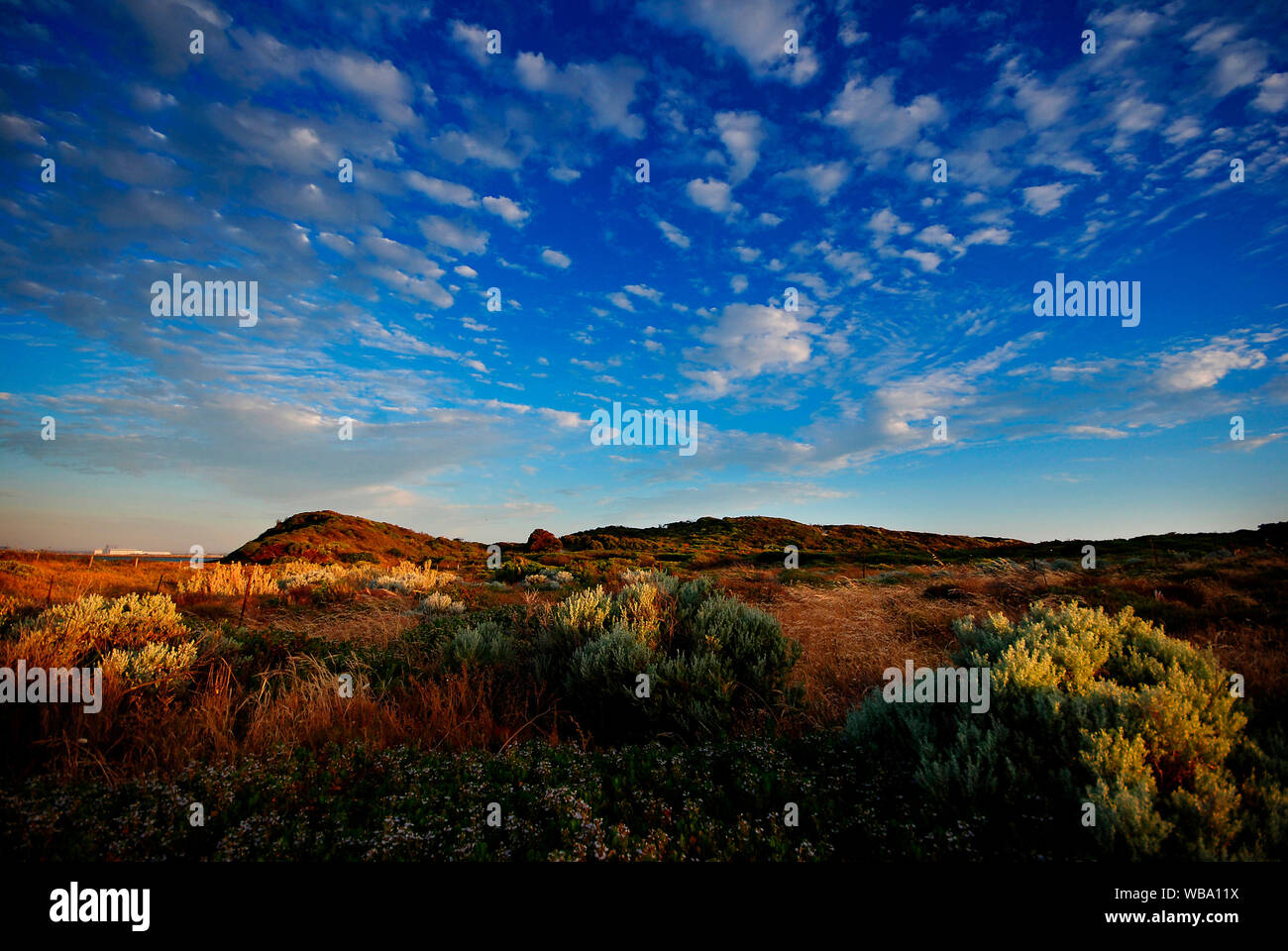 Mount Peron, Rockingham Western Australia, Australien Stockfoto