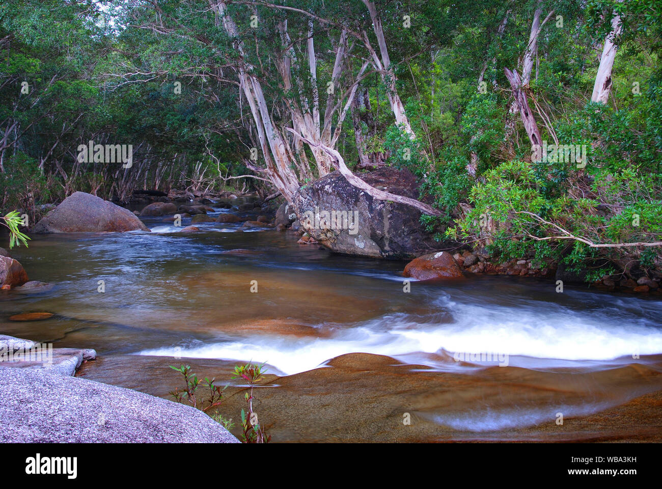 Obere Murray River, Girramay National Park, North Queensland, Australien Stockfoto