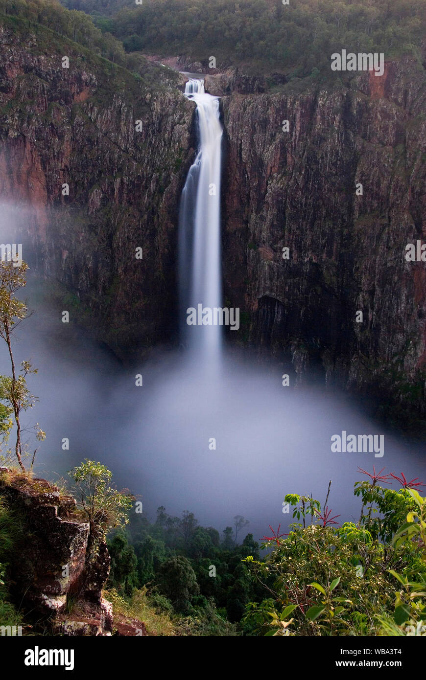 Wallaman Falls (340 m), Australiens größte permanente Wasserfall. Lumholtz Abschnitt, Girringun National Park, Queensland, Australien Stockfoto