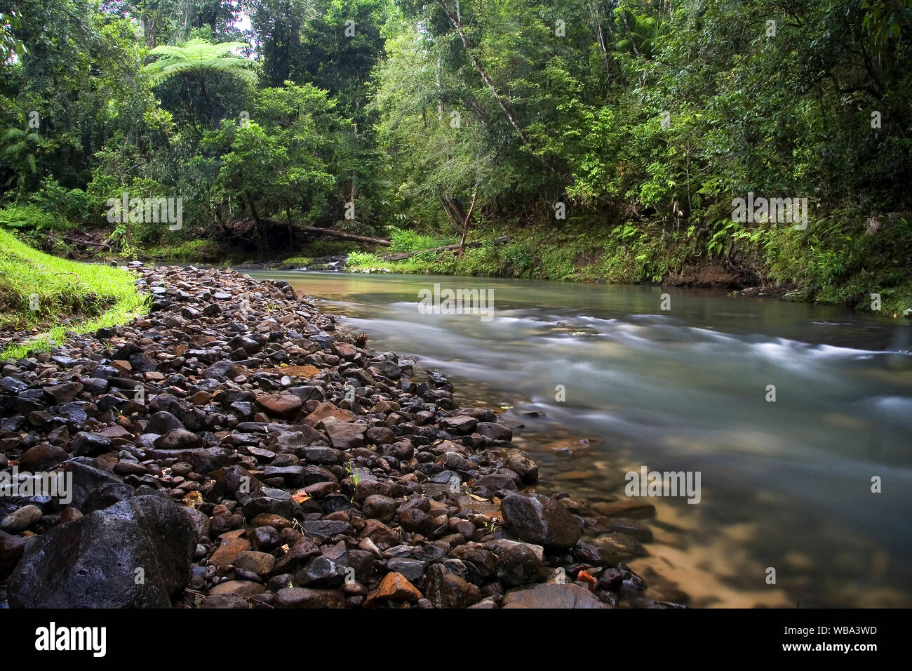 Henrietta Creek, Palmerston Abschnitt, Wooroonooran National Park, Atherton Tablelands, Queensland, Australien Stockfoto