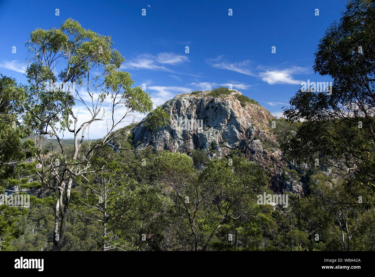 Coongarra Felsen, Granit Felsen. Mount Walsh National Park, in der Nähe von Biggenden, Queensland, Australien Stockfoto