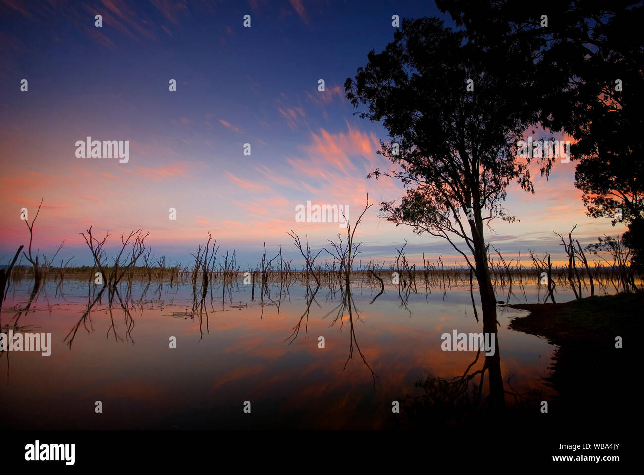 Sonnenaufgang über dem See Nuga Nuga, mit Bäume natürlich ertrank am See, dass einige vor 60 Jahren von Schlamm, die durch eine grosse Flut die Blockierung der gebildet wurde. Stockfoto