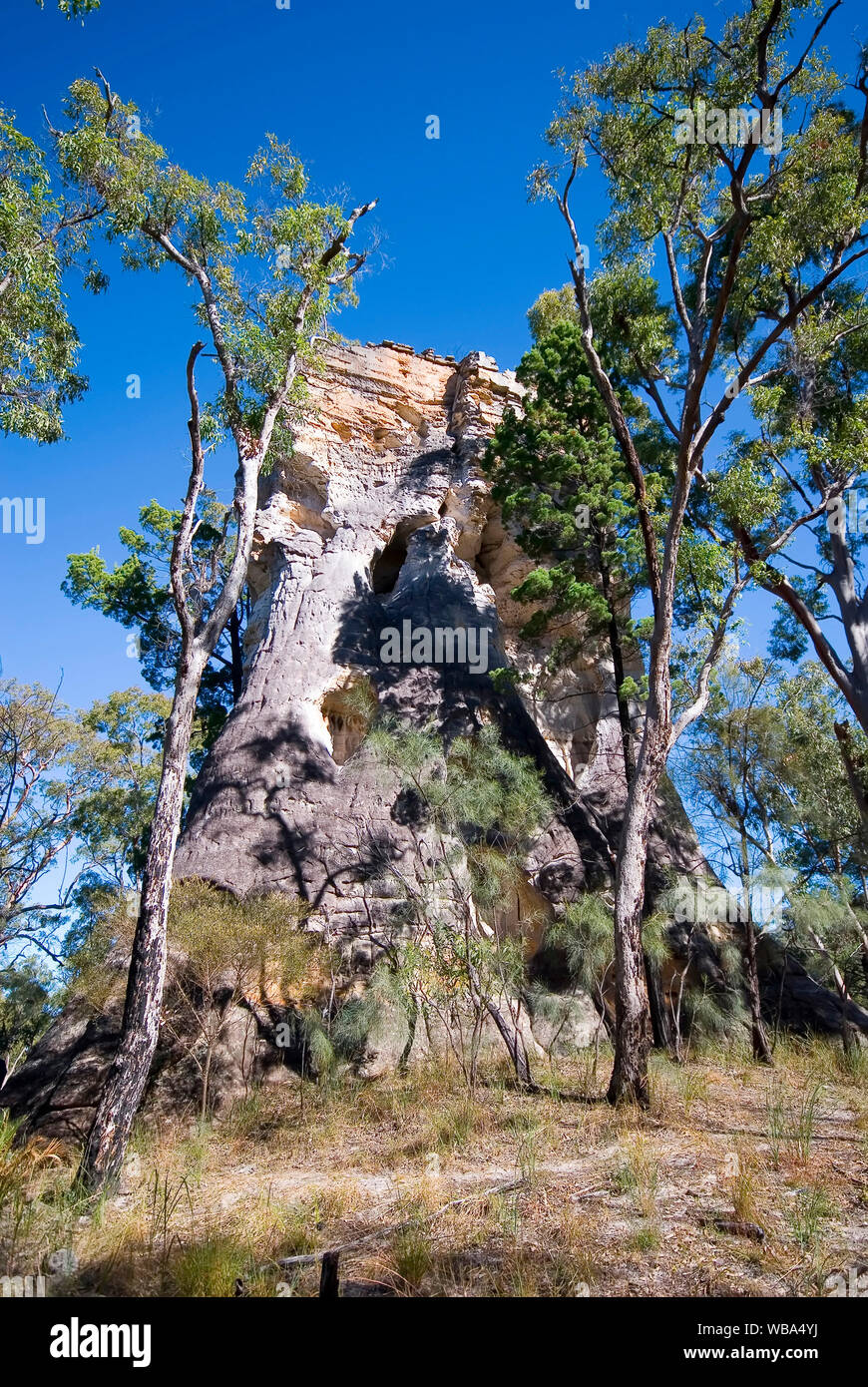 Viele Frau, Sandstein Bildung, Überrest einer Täuschung, dass, sobald dieser Bereich abgedeckt. Mount Moffatt Abschnitt, Carnarvon National Park, Central Queensland, Stockfoto