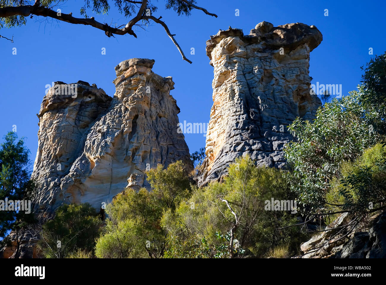 Die Schornsteine, die drei Säulen der erodierten Sandstein. Mount Moffatt Abschnitt, Carnarvon National Park, Central Queensland, Australien Stockfoto