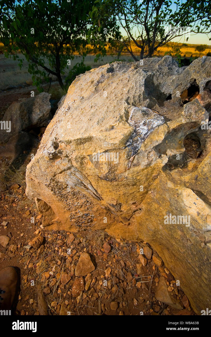 Säugetiere fossilen Bereich, eine der Welten die meisten bedeutenden fossilen Ablagerungen. Die Fossilien aus dem Oligozän Zeitraum zurück, 25 Millionen Ja Stockfoto