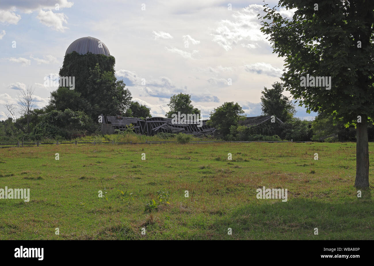 Alten, verlassenen ländlichen Holz- scheune, Rasen, und Baum in Massachusetts auf Sonnenuntergang Stockfoto