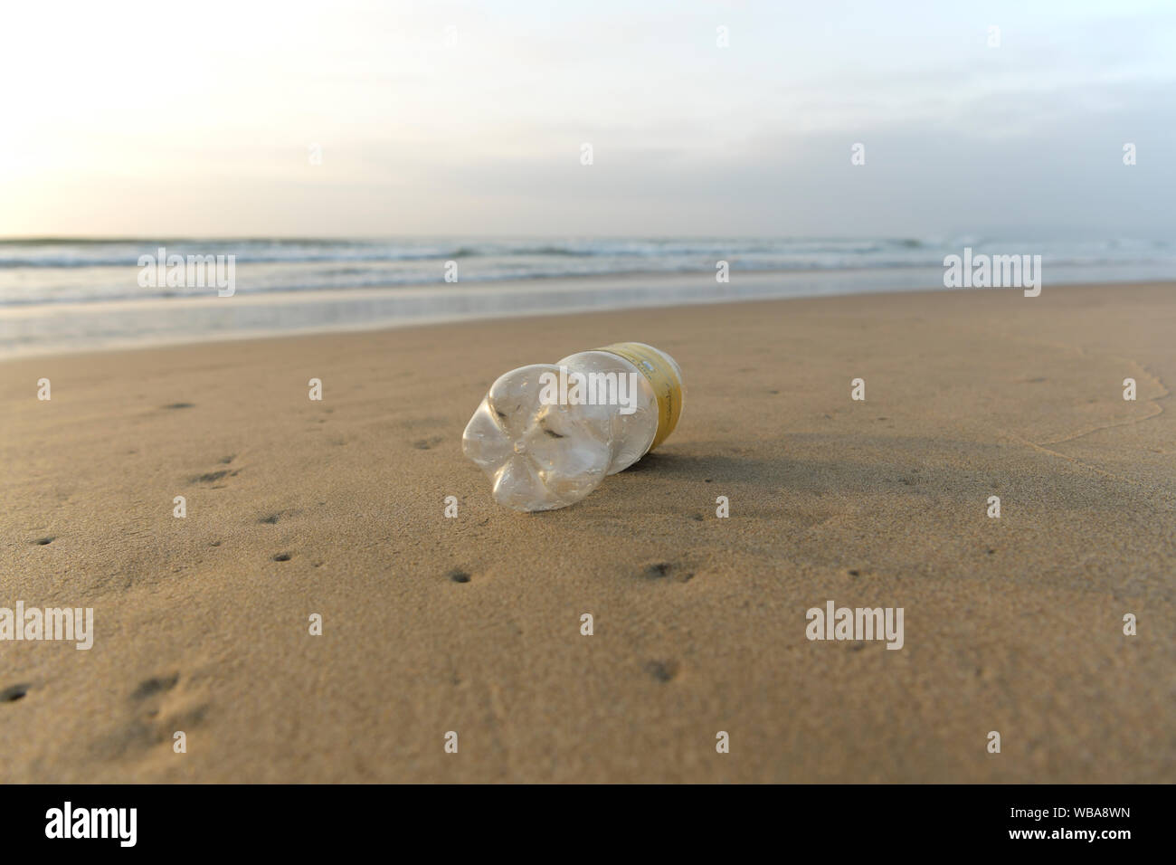 Durban, Südafrika, Kunststoff Umweltverschmutzung, einzigen PET-Getränkeflasche gewaschen oben am Strand, Illustration, Lebensmittelverpackungen, Objekt, Hintergrund Stockfoto