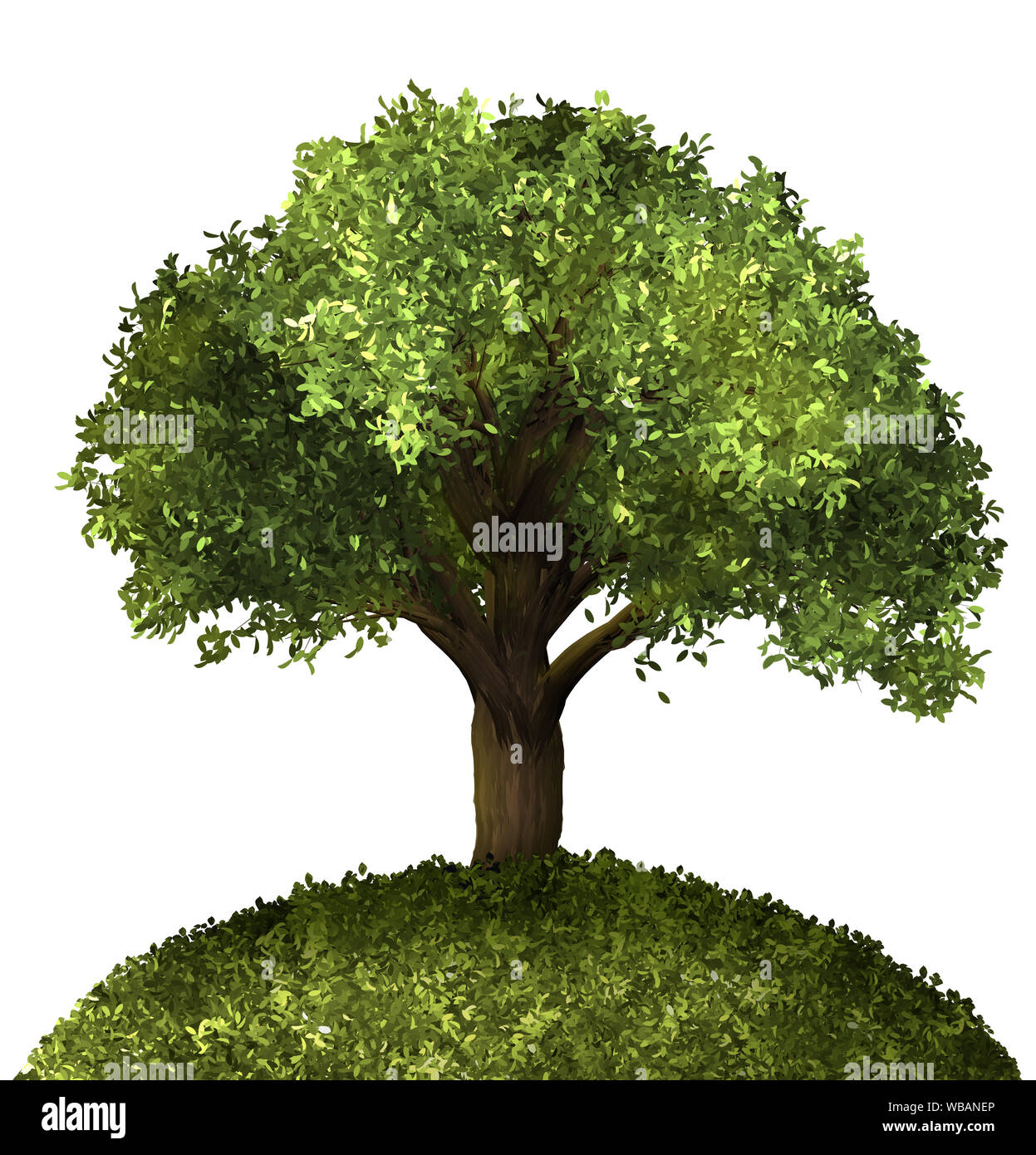 Weihnachtsbaum, Kiefer. Winter forrest Baum Hintergrund. 3D-Darstellung. Weißer Hintergrund isolieren. Natur und Gärten Design. Stockfoto